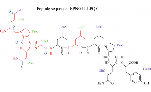 Пептиды: полный и честный обзор — что это такое, зачем они нужны и как работают в здоровье и косметологии