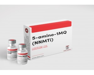 5-amino-1MQ (NNMTi)